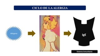 CICLO DE LAALERGIA
Alérgeno
IgE
Sistema inmunitario
 
