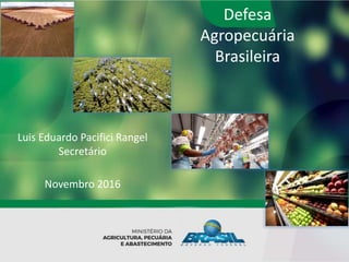 Defesa
Agropecuária
Brasileira
Luis Eduardo Pacifici Rangel
Secretário
Novembro 2016
 