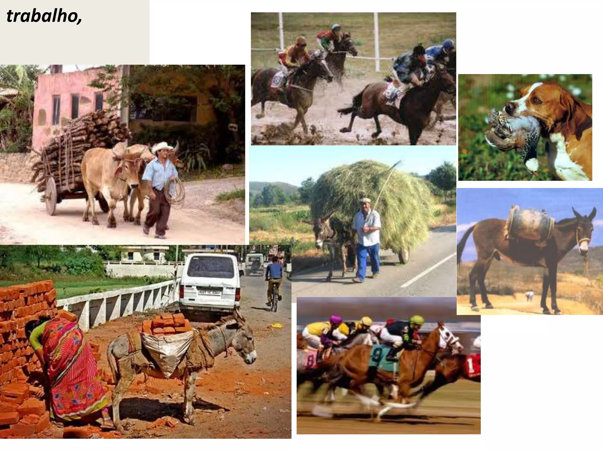 trabalho,
 