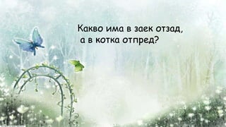 Какво има в заек отзад,
а в котка отпред?к
к
 