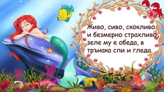 заек
 