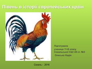 Півень в історії європейських країн
Підготувала
учениця 11-Б класу
Сокальської СШ I-III ст. №3
Олесько Надія
Сокаль - 2016
1
 