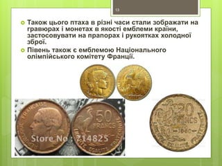  Також цього птаха в різні часи стали зображати на
гравюрах і монетах в якості емблеми країни,
застосовувати на прапорах і рукоятках холодної
зброї.
 Півень також є емблемою Національного
олімпійського комітету Франції.
13
 