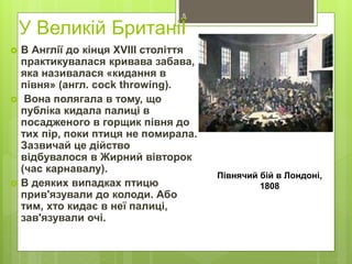 У Великій БританіЇ
 В Англії до кінця XVIII століття
практикувалася кривава забава,
яка називалася «кидання в
півня» (англ. cock throwing).
 Вона полягала в тому, що
публіка кидала палиці в
посадженого в горщик півня до
тих пір, поки птиця не помирала.
Зазвичай це дійство
відбувалося в Жирний вівторок
(час карнавалу).
 В деяких випадках птицю
прив'язували до колоди. Або
тим, хто кидає в неї палиці,
зав'язували очі.
Півнячий бій в Лондоні,
1808
5
 