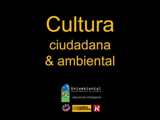 Cultura 
ciudadana 
& ambiental 
ALBERTO PIEDRA LEIVA  