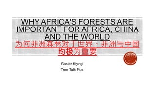 为何非洲森林对于世界、非洲与中国
均极为重要
Gaster Kiyingi
Tree Talk Plus
 