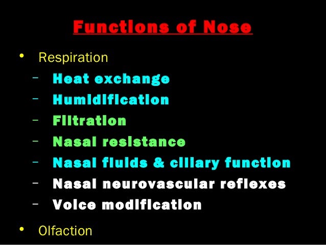 1. anatomy and physiology of nose & pns