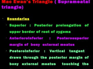 Anatomy of ear and mastoid | PPT