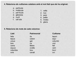 4. Relaciona els cultismes catalans amb el mot llatí que els ha originat:
a. partícula
b. molècula
c. pel·lícula
d. glàndula
e. nucli
f. cèl·lula
1. cella
2. nux
3. pars
4. pellis
5. moles
6. glans
5. Relaciona els mots de cada columna:
Llatí
felis
lepus
ursus
bos
canis
equus
columba
ovis
Patrimonial
ós
colom
gat
ca
llebre
ovella
bou
cavall
Cultisme
leporí
equí
columbí
ursí
felí
caní
boví
oví
 