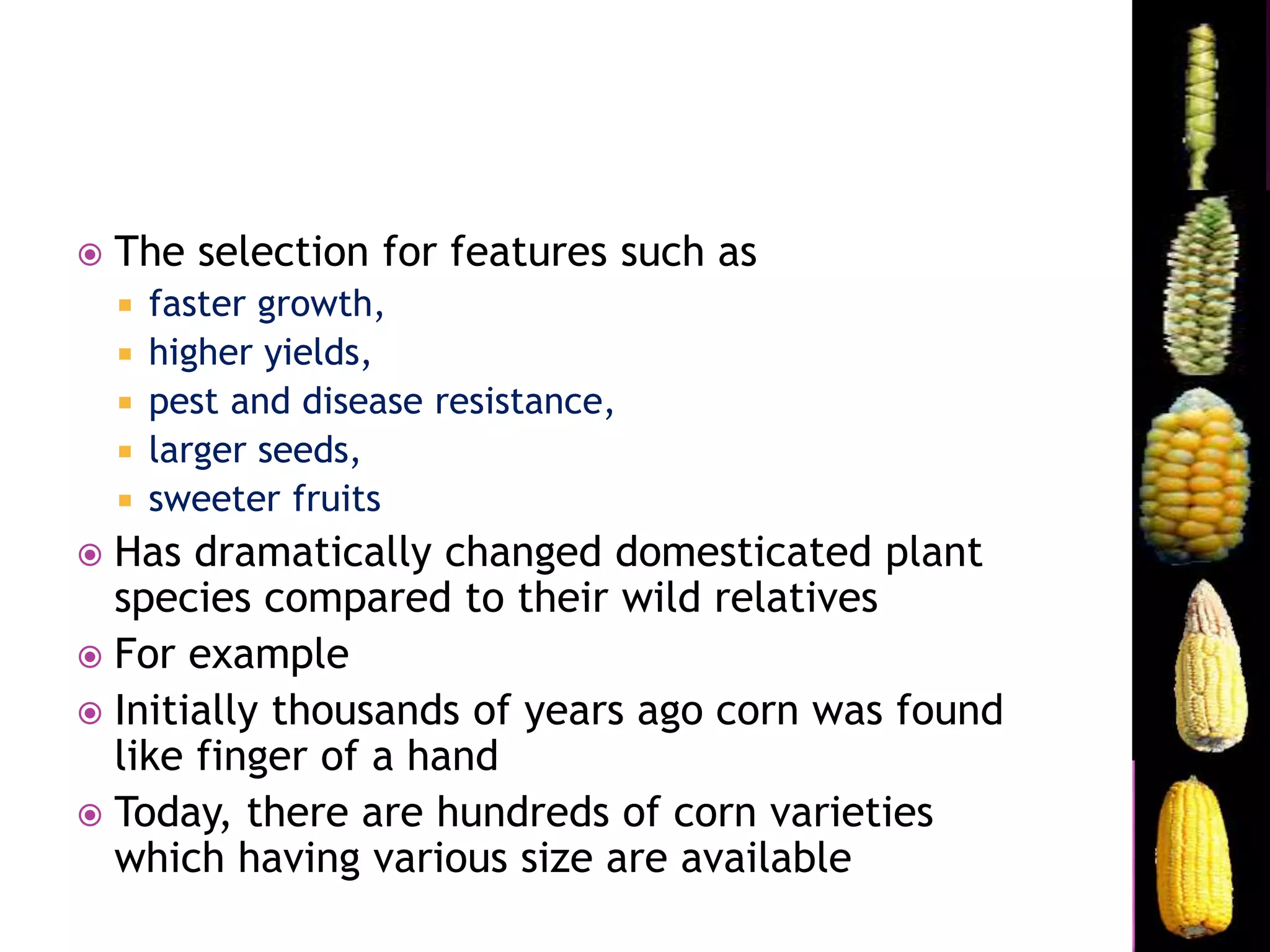  The selection for features such as
 faster growth,
 higher yields,
 pest and disease resistance,
 larger seeds,
 sweeter fruits
 Has dramatically changed domesticated plant
species compared to their wild relatives
 For example
 Initially thousands of years ago corn was found
like finger of a hand
 Today, there are hundreds of corn varieties
which having various size are available
 