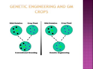Conventional and non conventional methods of crop improvement | PPTX