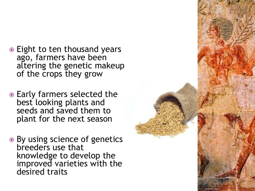 Conventional and non conventional methods of crop improvement