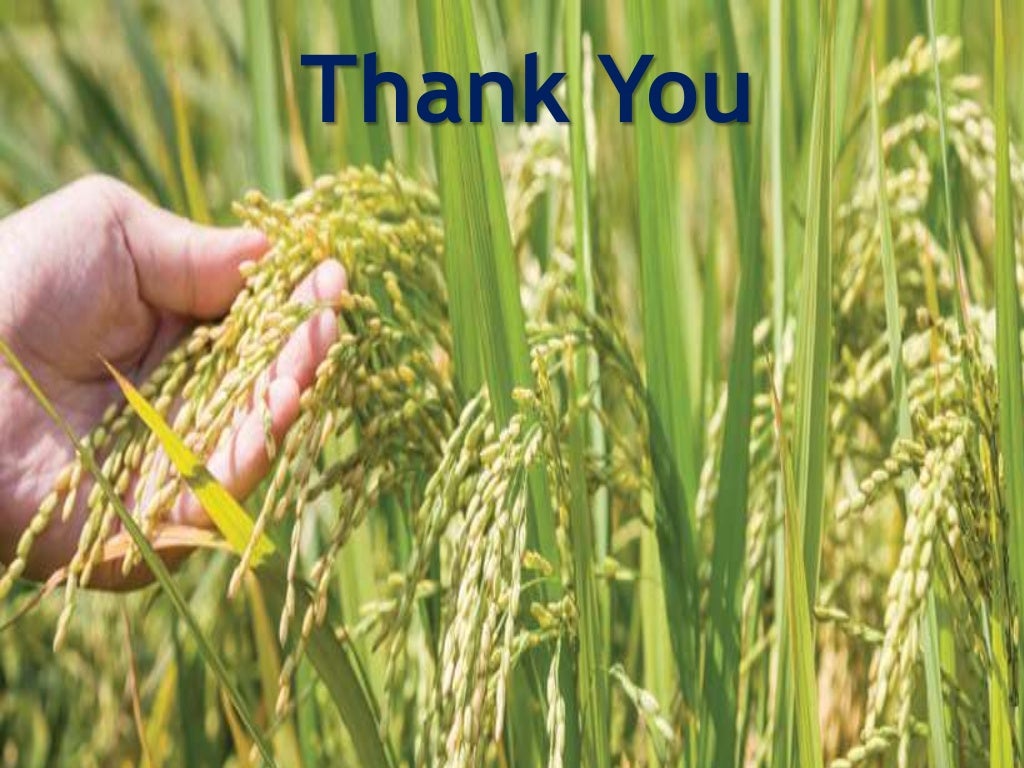 Conventional and non conventional methods of crop improvement