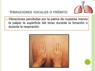 VIBRACIONES VOCALES O FRÉMITO
 Vibraciones percibidas por la palma de nuestras manos
la palpar la superficie del tórax durante la fonación o
durante la respiración
 