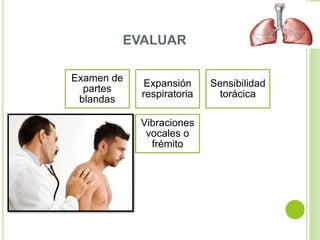 EVALUAR
Examen de
partes
blandas
Expansión
respiratoria
Sensibilidad
torácica
Vibraciones
vocales o
frémito
 