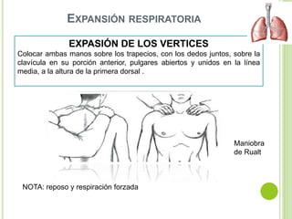 EXPASIÓN DE LOS VERTICES
Colocar ambas manos sobre los trapecios, con los dedos juntos, sobre la
clavícula en su porción anterior, pulgares abiertos y unidos en la línea
media, a la altura de la primera dorsal .
NOTA: reposo y respiración forzada
EXPANSIÓN RESPIRATORIA
Maniobra
de Rualt
 