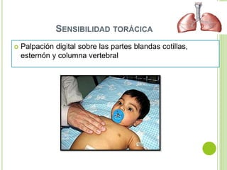 SENSIBILIDAD TORÁCICA
 Palpación digital sobre las partes blandas cotillas,
esternón y columna vertebral
 