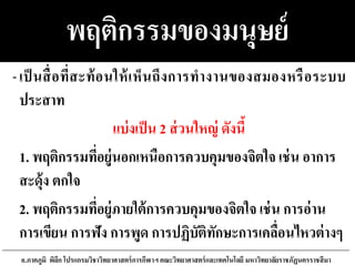 พฤติกรรมของมนุษย์
-เป็ นสื่อที่สะท้อนให้เห็นถึงการทางานของสมองหรือระบบ
ประสาท
แบ่งเป็น 2 ส่วนใหญ่ ดังนี้
1. พฤติกรรมที่อยู่นอกเหนือการควบคุมของจิตใจ เช่น อาการ
สะดุ้ง ตกใจ
2. พฤติกรรมที่อยู่ภายใต้การควบคุมของจิตใจ เช่น การอ่าน
การเขียน การฟัง การพูด การปฏิบัติทักษะการเคลื่อนไหวต่างๆ
อ.ภาคภูมิ พิลึก โปรแกรมวิชาวิทยาศาสตร์การกีฬาฯ คณะวิทยาศาสตร์และเทคโนโลยี มหาวิทยาลัยราชภัฏนครราชสีมา
 