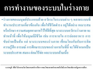 การทางานของระบบในร่างกาย
-ร่างกายของมนุษย์ประกอบด้วย อวัยวะในระบบต่าง ๆ หลายระบบที่
ทางานประสานเกี่ยวข้องกัน เพื่อให้ชีวิตดารง อยู่ได้อย่าง เหมาะสม
หรือรักษา ความสมดุลทางกายไว้ให้ดีที่สุด บางระบบอวัยวะร่างกาย จะ
ทาหน้าที่ เพื่อให้มนุษย์มีชีวิต เช่น การหายใจ การย่อยอาหาร การ
ขับถ่ายเป็นต้น แต่ บางระบบของร่างกาย เชื่อมโยงกับกับการคิด
ความรู้สึก อารมณ์ การศึกษาระบบของร่างกายในที่นี้ จะได้จาแนกเป็น
ระบบประสาท สมอง ต่อมไร้ท่อ และระบบกล้ามเนื้อ
อ.ภาคภูมิ พิลึก โปรแกรมวิชาวิทยาศาสตร์การกีฬาฯ คณะวิทยาศาสตร์และเทคโนโลยี มหาวิทยาลัยราชภัฏนครราชสีมา
 