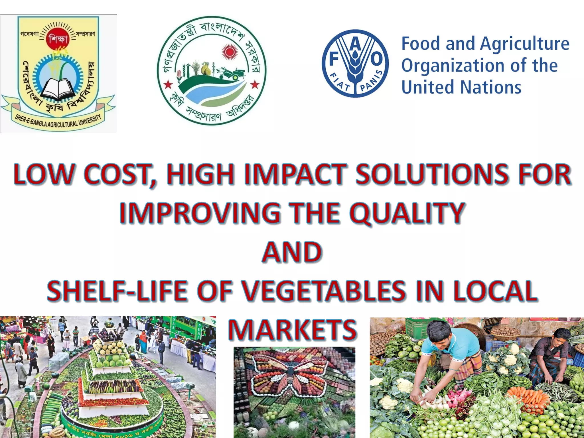 LOW COST, HIGH IMPACT SOLUTIONS FOR IMPROVING THE QUALITY AND SHELF