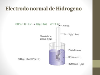 Electrodo normal de Hidrogeno
 