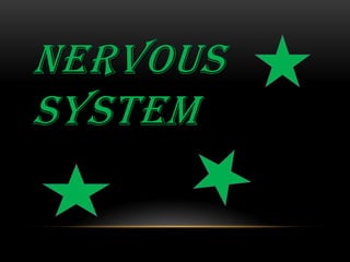 NERVOUS
SYSTEM
 