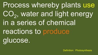 Process whereby plants use
CO2, water and light energy
in a series of chemical
reactions to produce
glucose.
Definition: Photosynthesis
 