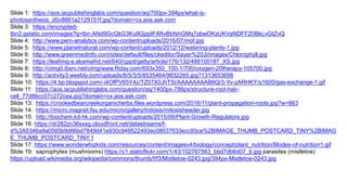 Slide 1: https://aos.iacpublishinglabs.com/question/aq/700px-394px/what-is-
photosynthesis_d5c8881a2129151f.jpg?domain=cx.aos.ask.com
Slide 3: https://encrypted-
tbn2.gstatic.com/images?q=tbn:ANd9GcQkG3Ku9GjzjdF4RvBbfshGMq7abwDKzUKVaNDFFZ0BkLvGtZvQ
Slide 4: http://www.pem-analytics.com/wp-content/uploads/2016/07/mof.jpg
Slide 5: https://www.planetnatural.com/wp-content/uploads/2012/12/watering-plants-1.jpg
Slide 6: http://www.greenmedinfo.com/sites/default/files/ckeditor/Sayer%20Ji/images/Chlorophyll.jpg
Slide 7: https://leafimg-a.akamaihd.net/640/cppd/getty/article/176/132/488100187_XS.jpg
Slide 8: http://cimg0.ibsrv.net/cimg/www.fitday.com/693x350_100-1/700/oxygen-20therapy-105700.jpg
Slide 9: http://activity3.weebly.com/uploads/8/5/3/5/8535464/9832265.jpg?1313653698
Slide 10: https://4.bp.blogspot.com/-i4OfPV65Y4c/TZ07X0JhT5I/AAAAAAAAB6Q/3-Yv-zARHKY/s1600/gas-exchange-1.gif
Slide 11: https://aos.iacpublishinglabs.com/question/aq/1400px-788px/structure-root-hair-
cell_77d8bcc07c272cea.jpg?domain=cx.aos.ask.com
Slide 13: https://crookedbearcreekorganicherbs.files.wordpress.com/2016/11/plant-propagation-roots.jpg?w=863
Slide 14: https://micro.magnet.fsu.edu/micro/gallery/mitosis/mitosisheader.jpg
Slide 15: http://biochem.kd-hk.com/wp-content/uploads/2015/09/Plant-Growth-Regulators.jpg
Slide 16: https://dr282zn36sxxg.cloudfront.net/datastreams/f-
d%3A5346a9a0585b9d66bd7849d41e930c949522493ec08037633ecc93ce%2BIMAGE_THUMB_POSTCARD_TINY%2BIMAG
E_THUMB_POSTCARD_TINY.1
Slide 17: https://www.wonderwhizkids.com/resources/content/imagesv4/biology/concept/plant_nutrition/Modes-of-nutrition1.gif
Slide 19: saprophytes (mushrooms) https://c1.staticflickr.com/1/43/102767563_bbd7db6d07_b.jpg parasites (mistletoe)
https://upload.wikimedia.org/wikipedia/commons/thumb/f/f3/Mistletoe-0243.jpg/394px-Mistletoe-0243.jpg
 