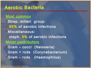 Copyright 2003, Elsevier Science (USA). All rights reserved.
Aerobic Bacteria
Most common
Strep. milleri group:
65% of aerobic infections
Miscellaneous:
staph. 5% of aerobic infections
Minor contributors
Gram – cocci (Neisseria)
Gram + rods (Corynebacterium)
Gram – rods (Haemophilus)
 