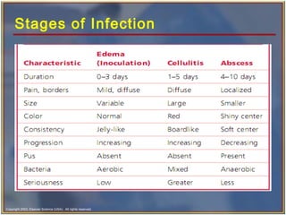 Copyright 2003, Elsevier Science (USA). All rights reserved.
Stages of Infection
 