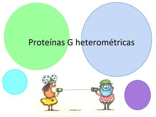 Proteínas G heterométricas
 