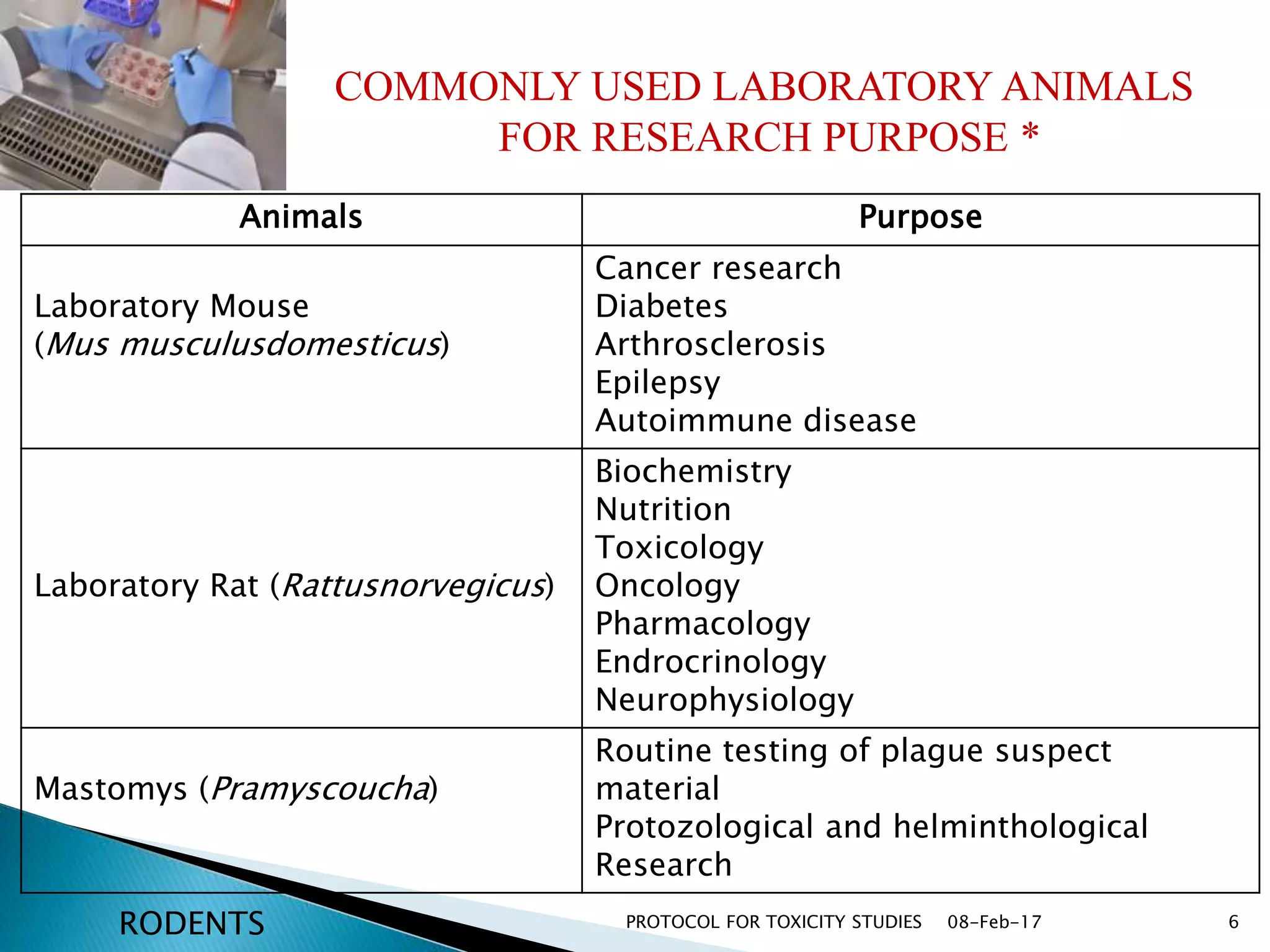 08-Feb-17PROTOCOL FOR TOXICITY STUDIES 6
COMMONLY USED LABORATORY ANIMALS
FOR RESEARCH PURPOSE *
Animals Purpose
Laboratory Mouse
(Mus musculusdomesticus)
Cancer research
Diabetes
Arthrosclerosis
Epilepsy
Autoimmune disease
Laboratory Rat (Rattusnorvegicus)
Biochemistry
Nutrition
Toxicology
Oncology
Pharmacology
Endrocrinology
Neurophysiology
Mastomys (Pramyscoucha)
Routine testing of plague suspect
material
Protozological and helminthological
Research
RODENTS
 