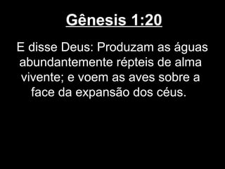Gênesis 1:20
E disse Deus: Produzam as águas
abundantemente répteis de alma
vivente; e voem as aves sobre a
face da expansão dos céus.
 