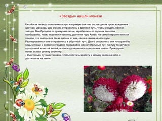 «Звезды» нашли монахи
Китайская легенда появления астры напрямую связана со звездным происхождением
цветков. Однажды два монаха отправились в далекий путь, чтобы увидеть вблизи
звезды. Они бродили по дремучим лесам, карабкались по горным высотам,
пробирались через ледники и наконец, достигли гору Алтай. На самой вершине монахи
поняли, что звезды все также далеки от них, как и в самом начале пути.
Разочарованные они отправились в обратный путь. Долго спускались они по горам без
воды и пищи и внезапно увидели перед собой восхитительный луг. На лугу тек ручей с
прозрачной и чистой водой, и повсюду виднелись прекрасные цветы. Премудрый
монах сказал своему спутнику:
- Мы столько путешествовали, чтобы постичь красоту и загадку звезд на небе, а
достигли ее на земле.
 