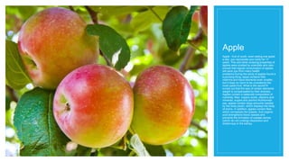 Apple
Apple - fruit of youth, even eating one apple
a day, you rejuvenate your body for 17
years. This and other amazing properties of
apples were studied by scientists who also
proved that regular consumption of apples
will save you from many health
problems.During the study of apples found a
surprising thing: apple contains little
vitamins and trace elements even smaller,
but it does no harm to be considered the
most useful fruit. What is the secret?It
turned out that the lack of certain elements
weight is compensated by their diversity.
Apples contain a balanced composition of
nutrients, fiber, organic acids, vitamins and
minerals, sugars and pectins.Nutritionists
say: apples contain large amounts needed
by the body pectin, which displays the body
of toxins. In addition, apples contain fiber,
which normalizes the bowels. And organic
acid strengthens blood vessels and
prevents the formation of oxalate stones
(which do not undergo dissolution and
droblinnya) in the kidney.
 