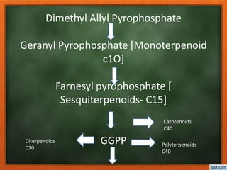 Dimethyl Allyl Pyrophosphate
Geranyl Pyrophosphate [Monoterpenoid
c1O]
Farnesyl pyrophosphate [
Sesquiterpenoids- C15]
GGPPDiterpenoids
C20
Carotenoids
C40
Polyterpenoids
C40
 