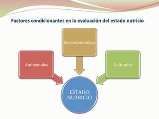 ESTADO	
  
NUTRICIO	
  
Ambientales	
  
Socioeconómicos	
  
Culturales	
  
 