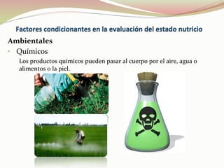 Ambientales	
  
•  Químicos	
  
Los	
  productos	
  químicos	
  pueden	
  pasar	
  al	
  cuerpo	
  por	
  el	
  aire,	
  agua	
  o	
  
alimentos	
  o	
  la	
  piel.	
  
 