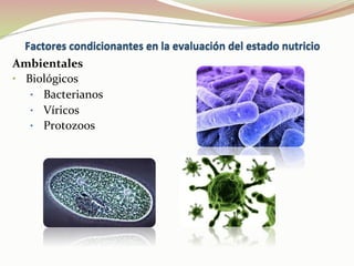 Ambientales	
  
•  Biológicos	
  
•  Bacterianos	
  
•  Víricos	
  
•  Protozoos	
  
 