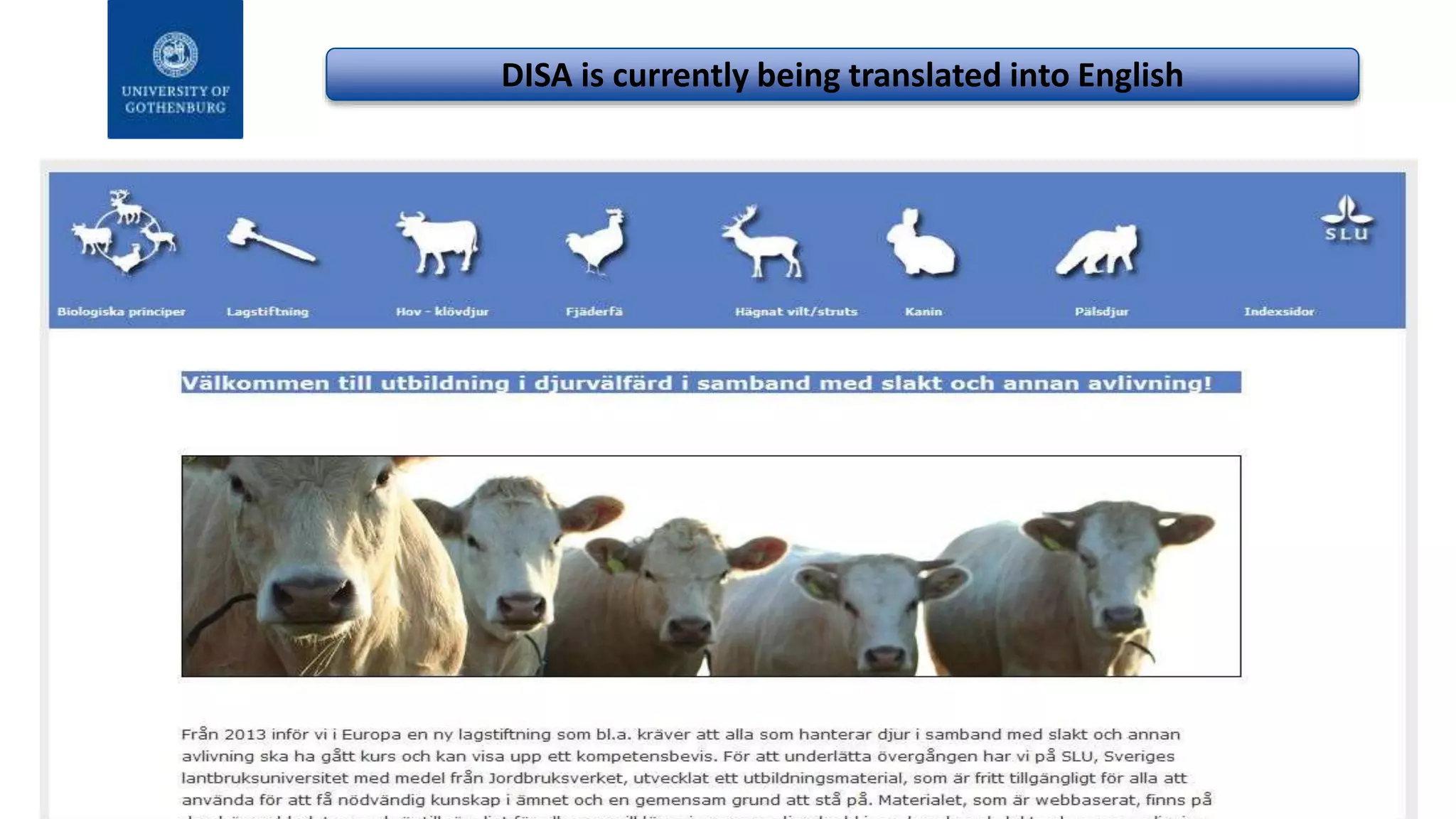 DISA is currently being translated into English
 