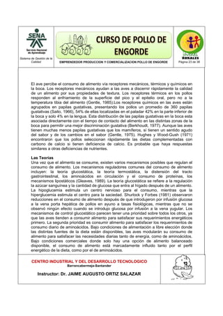 Sistema de Gestión de la
Calidad EMPRENDEDOR PRODUCCION Y COMERCIALIZACION POLLO DE ENGORDE Página 23 de 38
CENTRO INDUSTRIAL Y DEL DESARROLLO TECNOLOGICO
Barrancabermeja-Santander
Instructor: Dr. JAIME AUGUSTO ORTIZ SALAZAR
El ave percibe el consumo de alimento vía receptores mecánicos, térmicos y químicos en
la boca. Los receptores mecánicos ayudan a las aves a discernir rápidamente la calidad
de un alimento por sus propiedades de textura. Los receptores térmicos en los pollos
responden al enfriamiento de la superficie del pico y el epitelio oral, pero no a la
temperatura tibia del alimento (Gentle, 1985).Los receptores químicos en las aves están
agrupados en papilas gustativas, presentando los pollos un promedio de 360 papilas
gustativas (Saito, 1966), 54% de ellas localizadas en el paladar 42% en la parte inferior de
la boca y solo 4% en la lengua. Esta distribución de las papilas gustativas en la boca esta
asociada directamente con el tiempo de contacto del alimento en las distintas zonas de la
boca para permitir una mejor discriminación gustativa (Berkhoudt, 1977). Aunque las aves
tienen muchas menos papilas gustativas que los mamíferos, sí tienen un sentido agudo
del sabor y de los cambios en el sabor (Gentle, 1975). Hughes y Wood-Gush (1971)
encontraron que los pollos seleccionan rápidamente las dietas complementadas con
carbono de calcio si tienen deficiencia de calcio. Es probable que haya respuestas
similares a otras deficiencias de nutrientes.
Las Teorías
Una vez que el alimento se consume, existen varios mecanismos posibles que regulan el
consumo de alimento. Los mecanismos reguladores comunes del consumo de alimento
incluyen: la teoría glucostática, la teoría termostática, la distensión del tracto
gastrointestinal, los aminoácidos en circulación y el consumo de proteínas, los
mecanismos lipostáticos (Gleaves, 1989). La teoría glucostática se refiere a la regulación
la azúcar sanguínea y la cantidad de glucosa que entra al hígado después de un alimento.
La hipoglucemia estimula un centro nervioso para el consumo, mientras que la
hiperglucemia estimula el centro para la saciedad. Shurlock y Forbes (1981) observaron
reducciones en el consumo de alimento después de que introdujeron por infusión glucosa
a la vena porta hepática de pollos en ayuno a tasas fisiológicas, mientras que no se
observó ningún efecto cuando se introdujo glucosa por infusión a la vena yugular. Los
mecanismos de control glucostático parecen tener una prioridad sobre todos los otros, ya
que las aves tienden a consumir alimento para satisfacer sus requerimientos energéticos
primero. La segunda prioridad es consumir alimento para satisfacer los requerimientos de
consumo diario de aminoácidos. Bajo condiciones de alimentación a libre elección donde
las distintas fuentes de la dieta están disponibles, las aves modularán su consumo de
alimento para satisfacer las necesidades diarias tanto de energía, como de aminoácidos.
Bajo condiciones comerciales donde solo hay una opción de alimento balanceado
disponible, el consumo de alimento está marcadamente influido tanto por el perfil
energético de la dieta, como por el de aminoácidos.
 