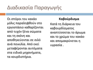 Διαδικασία Παραγωγής
Οι σπόροι του κακάο
μόλις παραληφθούν στο
εργοστάσιο καθαρίζονται
από τυχόν ξένα σώματα
και τη σκόνη και
αποθηκεύονται σε σιλό
ανά ποικιλία. Από εκεί
μεταφέρονται αυτόματα
στα ειδικά μηχανήματα,
τα κουρδιστήρια.
Καβούρδισμα
Κατά τη διάρκεια του
καβουρδίσματος
αναπτύσσεται το άρωμα
και το χρώμα του κακάο
και απομακρύνεται η
υγρασία .
 