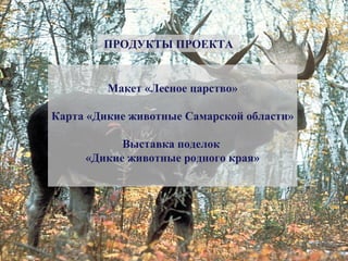 Макет «Лесное царство»
Карта «Дикие животные Самарской области»
Выставка поделок
«Дикие животные родного края»
ПРОДУКТЫ ПРОЕКТА
 