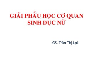 GIAÛI PHAÃU HOÏC CÔ QUAN
SINH DUÏC NÖÕ
GS. Trần Thị Lợi
 