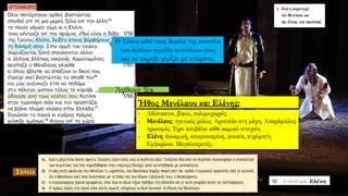 Άφθονη βία
Η Ελένη ωθεί τους δικούς της εναντίον
των άοπλων σχεδόν αντιπάλων τους
και το καράβι γεμίζει με πτώματα.
 