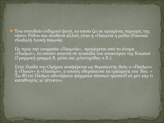  Ένα σπουδαίο ενδημικό φυτό, το οποίο ζει σε ορισμένες περιοχές της 
νήσου Ρόδου και πουθενά αλλού, είναι η «Παιωνία η ροδία (Paeonia 
rhodia)ή Λευκή παιωνία.
Ως προς την ονομασία «Παιωνία»,  προέρχεται από το όνομα 
«Παιήων», το οποίον απαντά σε πινακίδα του ανακτόρου της Κνωσού 
(Γραμμική γραμμή Β, μέσα 2ας χιλιετηρίδας π.Χ.).
Στην Ιλιάδα του Ομήρου αναφέρεται ως θεραπευτής θεός ο «Παιήων» 
ή «Παιών» ή «Παινίων», ο οποίος εθεράπευσε τα τραύματα του  δου. » ʼ
Τω δ’ επί Παιήων οδυνήφατα φάρμακα πάσσων ηκέσατ’ ού μέν γάρ τι 
καταθνητός γε τέτυκτο». 
 