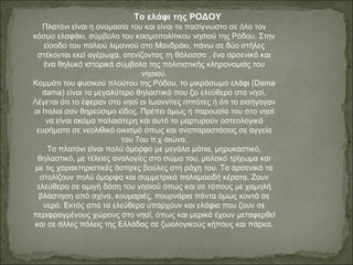 Το ελάφι της ΡΟΔΟΥ
Πλατόνι είναι η ονομασία του και είναι το πασίγνωστο σε όλο τον
κόσμο ελαφάκι, σύμβολο του κοσμοπολίτικου νησιού της Ρόδου. Στην
είσοδο του παλιού λιμανιού στο Μανδράκι, πάνω σε δύο στήλες
στέκονται εκεί αγέρωχα, ατενίζοντας τη θάλασσα , ένα αρσενικό και
ένα θηλυκό ιστορικά σύμβολα της πολιτιστικής κληρονομιάς του
νησιού.
Κομμάτι του φυσικού πλούτου της Ρόδου, το μικρόσωμο ελάφι (Dama
dama) είναι το μεγαλύτερο θηλαστικό που ζει ελεύθερο στο νησί.
Λέγεται ότι το έφεραν στο νησί οι Ιωαννίτες ιππότες ή ότι το εισήγαγαν
οι Ιταλοί σαν θηρεύσιμο είδος. Πρέπει όμως η παρουσία του στο νησί
να είναι ακόμα παλαιότερη και αυτό το μαρτυρούν οστεολογικά
ευρήματα σε νεολιθικό οικισμό όπως και αναπαραστάσεις σε αγγεία
του 7ου π.χ αιώνα.
Το πλατόνι είναι πολύ όμορφο με μεγάλα μάτια, μηρυκαστικό,
θηλαστικό, με τέλειες αναλογίες στο σώμα του, μαλακό τρίχωμα και
με τις χαρακτηριστικές άσπρες βούλες στη ράχη του. Τα αρσενικά τα
στολίζουν πολύ όμορφα και συμμετρικά παλαμοειδή κέρατα. Ζουν
ελεύθερα σε αμιγή δάση του νησιού όπως και σε τόπους με χαμηλή
βλάστηση από σχίνα, κουμαριές, πουρνάρια πάντα όμως κοντά σε
νερό. Εκτός από τα ελεύθερα υπάρχουν και ελάφια που ζουν σε
περιφραγμένους χώρους στο νησί, όπως και μερικά έχουν μεταφερθεί
και σε άλλες πόλεις της Ελλάδας σε ζωολογικούς κήπους και πάρκα.
 