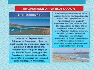 Στο νοτιότερο άκρο της Ρόδου
βρίσκεται το Πρασονήσι. Η φύση σε
αυτό το άκρο του νησιού έχει κάνει για
μια ακόμη φορά το θαύμα της.
Το νησάκι συνδέεται με τη στεριά με
μια λουρίδα άμμου που σχηματίζει
δυο εξωτικές αμμουδερές παραλίες
που ανάλογα την εποχή και τον καιρό
είναι στενότερες ή πλατύτερες.
Η απόσταση από την πόλη της Ρόδου
μιας και βρίσκεται στην άλλη άκρη του
νησιού κάνει την πρόσβαση στο
Πρασονήσι να είναι μια μικρή
περιπέτεια, που όμως αξίζει τον κόπο.
Στις παραλίες του θα βρείτε όλα τα
απαραίτητα καθώς τα τελευταία
χρόνια λόγω των ευνοϊκών ανέμων, η
παραλία έχει γίνει ο αγαπημένος
προορισμός των απανταχού
windserfers. Για όσους έχουν διάθεση
για λίγο ακόμη περιπέτεια και
περπάτημα, στο νησί απέναντι υπάρχει
ένας παραδοσιακός Φάρος.
ΠΡΑΣΙΝΟΙ ΚΟΜΒΟΙ – ΦΥΣΙΚΟΥ ΚΑΛΛΟΥΣ
 
