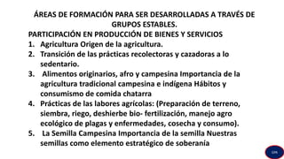 ÁREAS DE FORMACIÓN PARA SER DESARROLLADAS A TRAVÉS DE
GRUPOS ESTABLES.
PARTICIPACIÓN EN PRODUCCIÓN DE BIENES Y SERVICIOS
1. Agricultura Origen de la agricultura.
2. Transición de las prácticas recolectoras y cazadoras a lo
sedentario.
3. Alimentos originarios, afro y campesina Importancia de la
agricultura tradicional campesina e indígena Hábitos y
consumismo de comida chatarra
4. Prácticas de las labores agrícolas: (Preparación de terreno,
siembra, riego, deshierbe bio- fertilización, manejo agro
ecológico de plagas y enfermedades, cosecha y consumo).
5. La Semilla Campesina Importancia de la semilla Nuestras
semillas como elemento estratégico de soberanía
GPA
 
