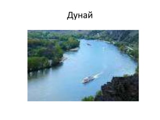 Дунай
 